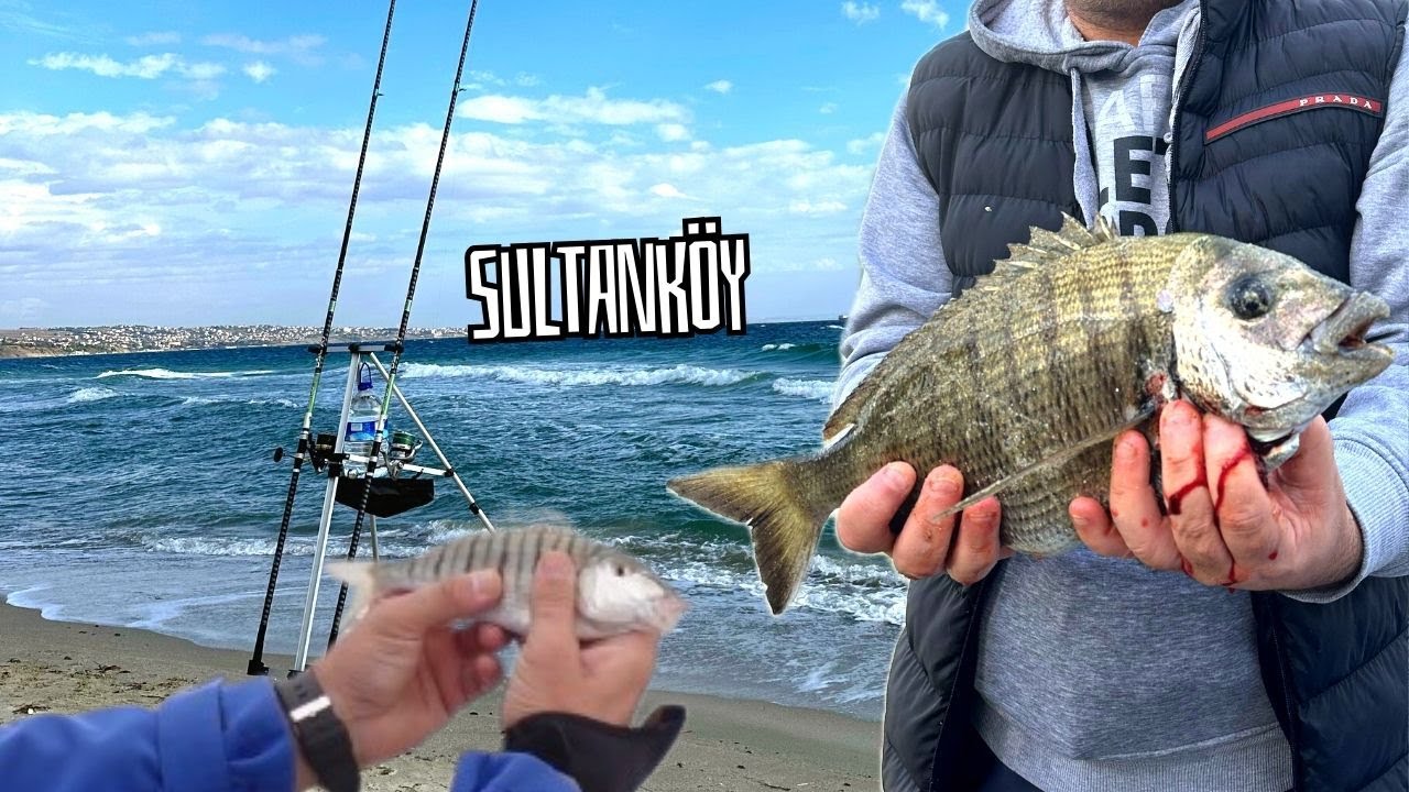 SULTANKÖY KARAGÖZ AVI | PATLAK HAVADA SIRILSIKLAM OLDUK #fishing #surfcasting #balıkavı