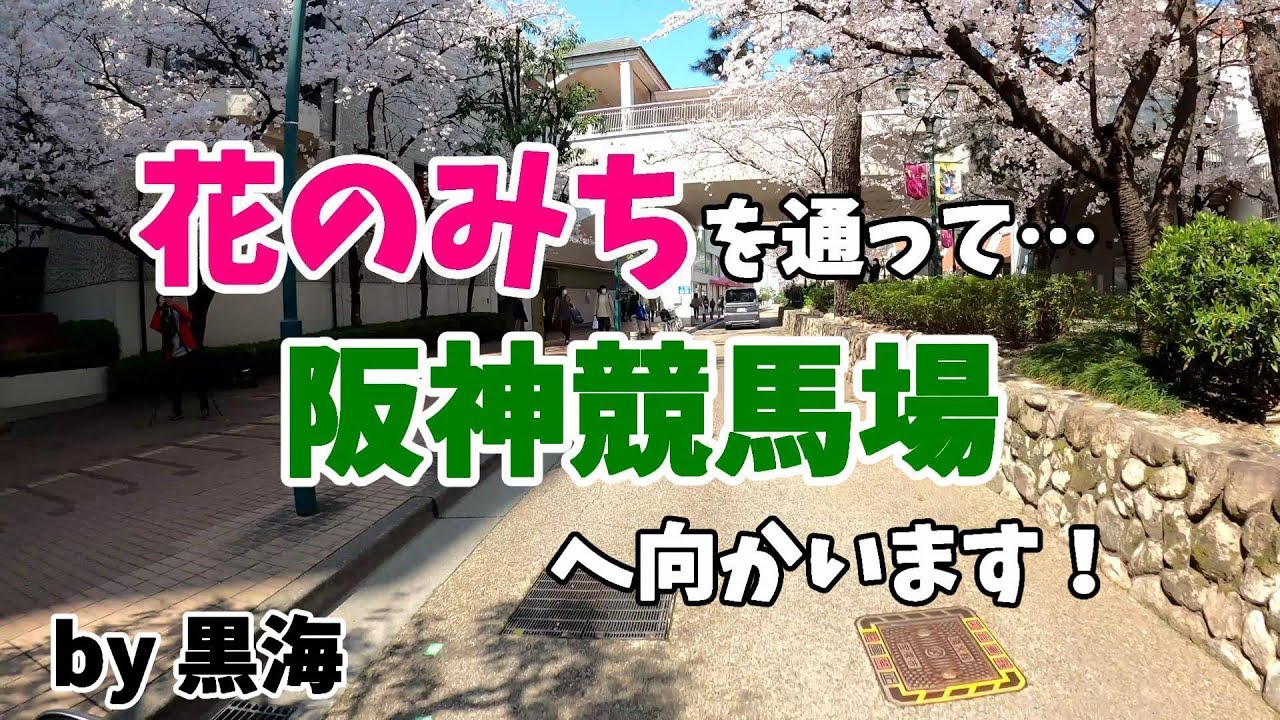 花のみちを通って阪神競馬場へ向かいます！