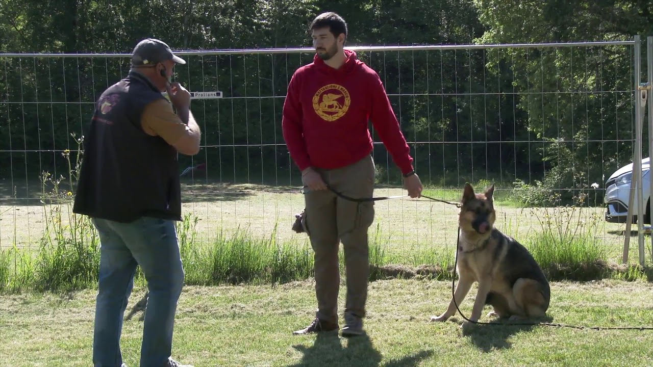 Centre Hervé Pupier - Formation Educateur canin. Chiens Difficiles