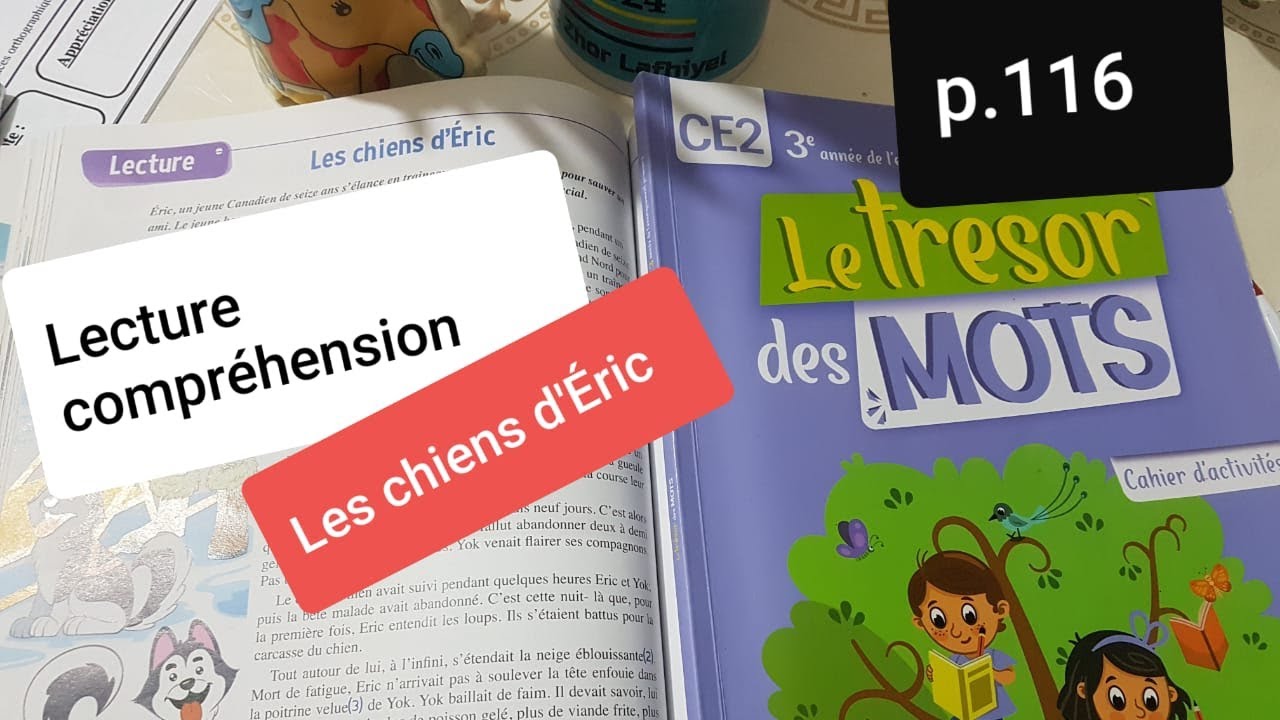 Lecture compréhension Les chiens d'Éric Le trésor des mots CE2 p.116 et p.117