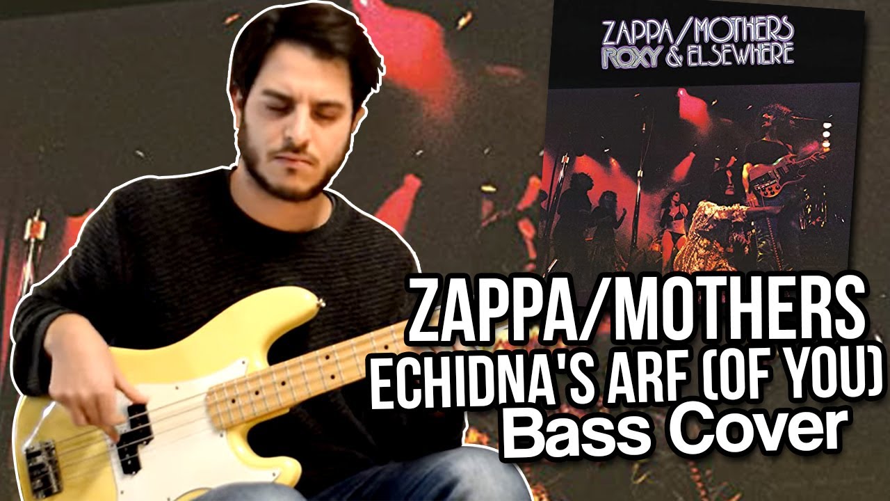 Frank Zappa - Echidna's Arf (Of You) Bass cover // Better call John !