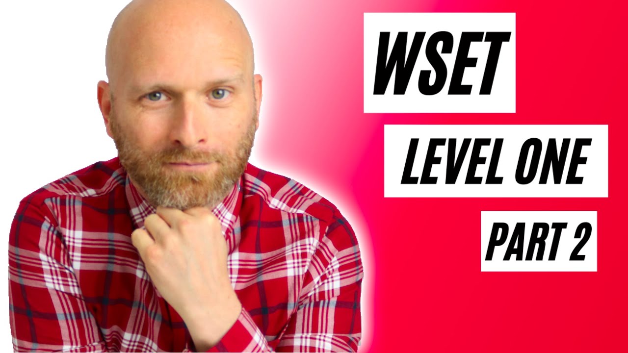 Пошаговое руководство по WSET, уровень 1. Часть вторая. Основные сорта винограда и вина из них.