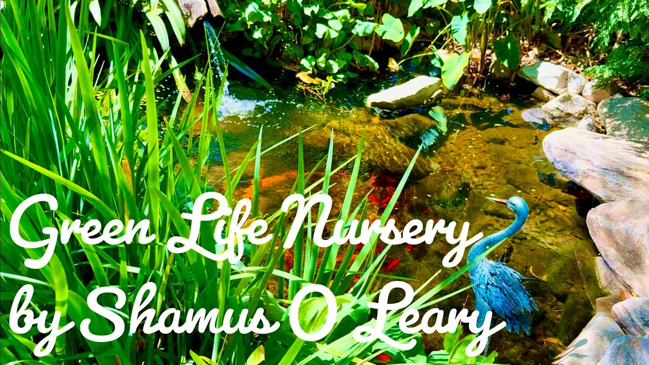 Khám Phá Vườn Green Life by Shamus O’Leary