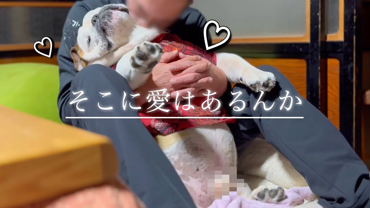 【見納め】一年分の愛を確かめ合うじいちゃん達