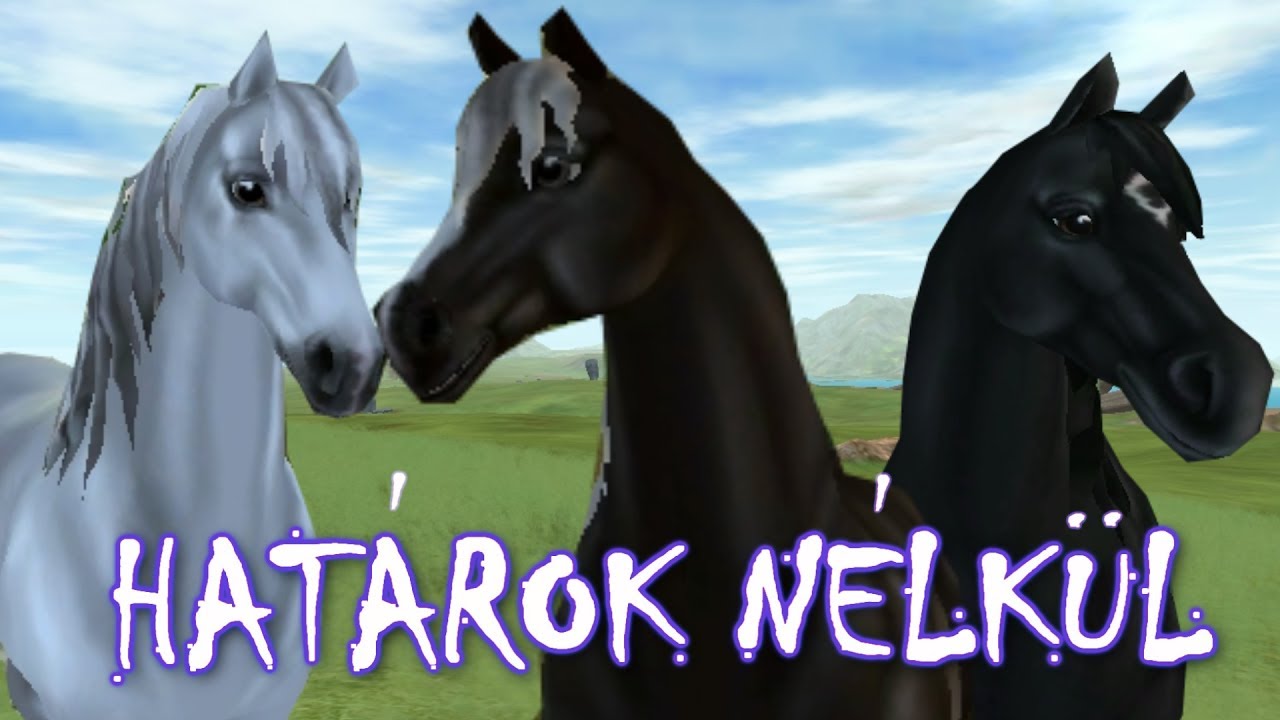 HATÁROK NÉLKÜL 1. rész - SSO