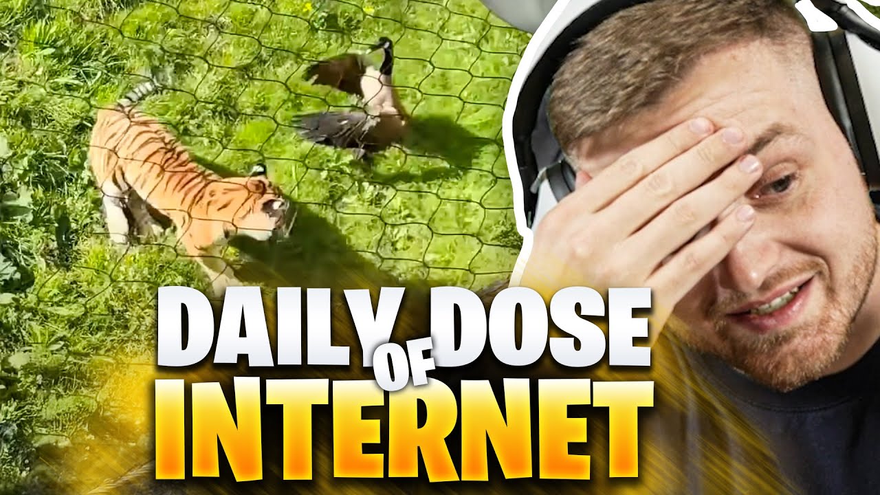 🤯😱GANS GEWINNT gegen TIGER ein DUELL?!!! - NEE das GEHT NICHT | Trymacs Stream Highlights