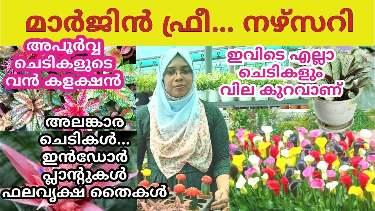 ആലുവയിൽ 17 രൂപ മുതൽ ചെടികൾ വാങ്ങാം ||Indoor outdoor, flowering plants||Garden tour||Abhiya Garden||