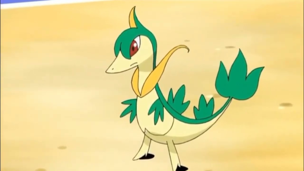 Snivy, Servine, and Serperior Pok&eacute;dex Entries..wmv