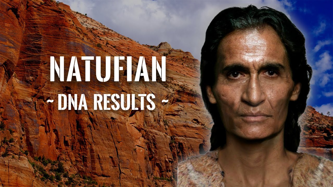 Natufian DNA Ethnicity Estimate