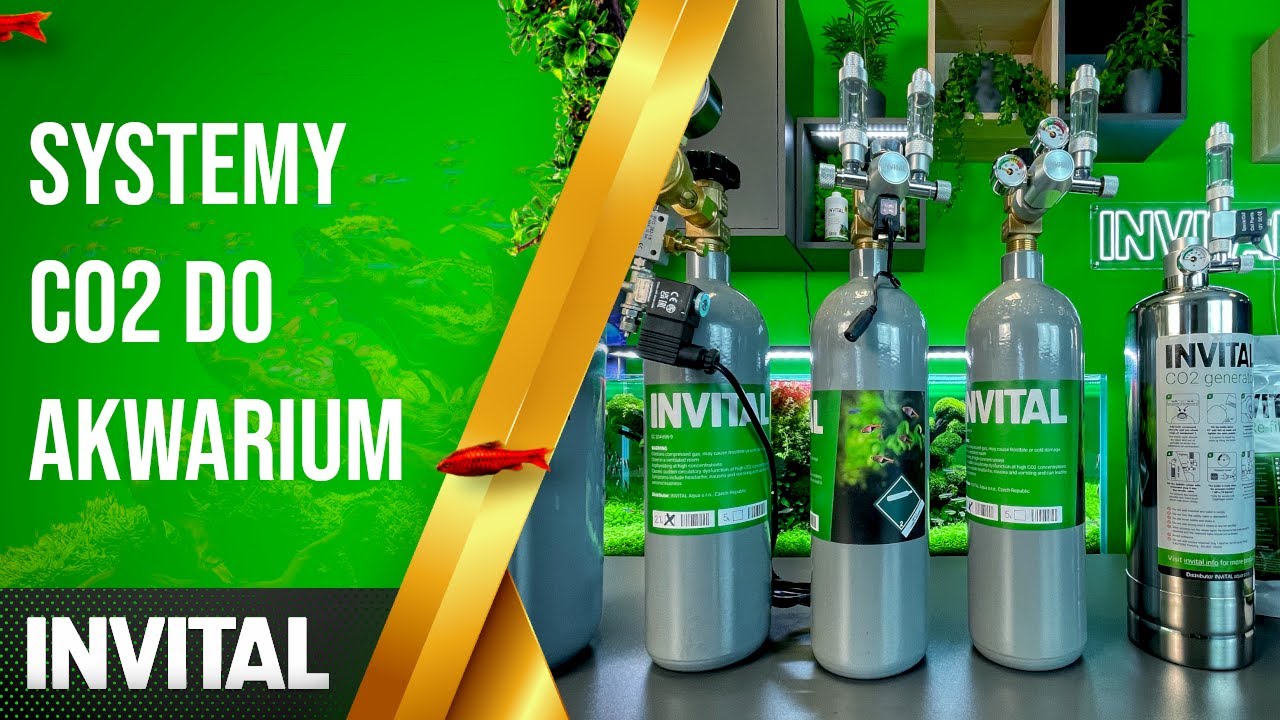 Systemy CO2 do akwarium | INVITAL