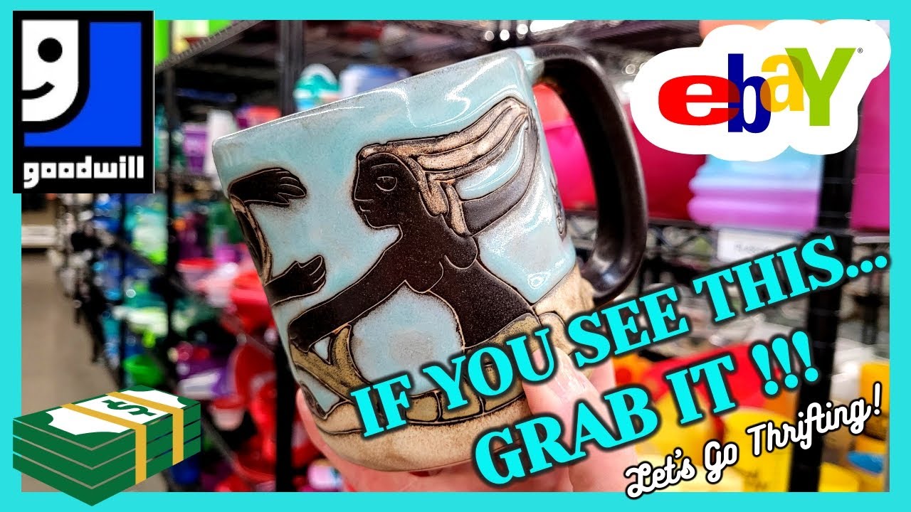 GOODWILL said CASH ONLY! I HAD to COUNT IT in my CAR / Thrift With Me / BUY MY HAUL / Dogs and Ducks