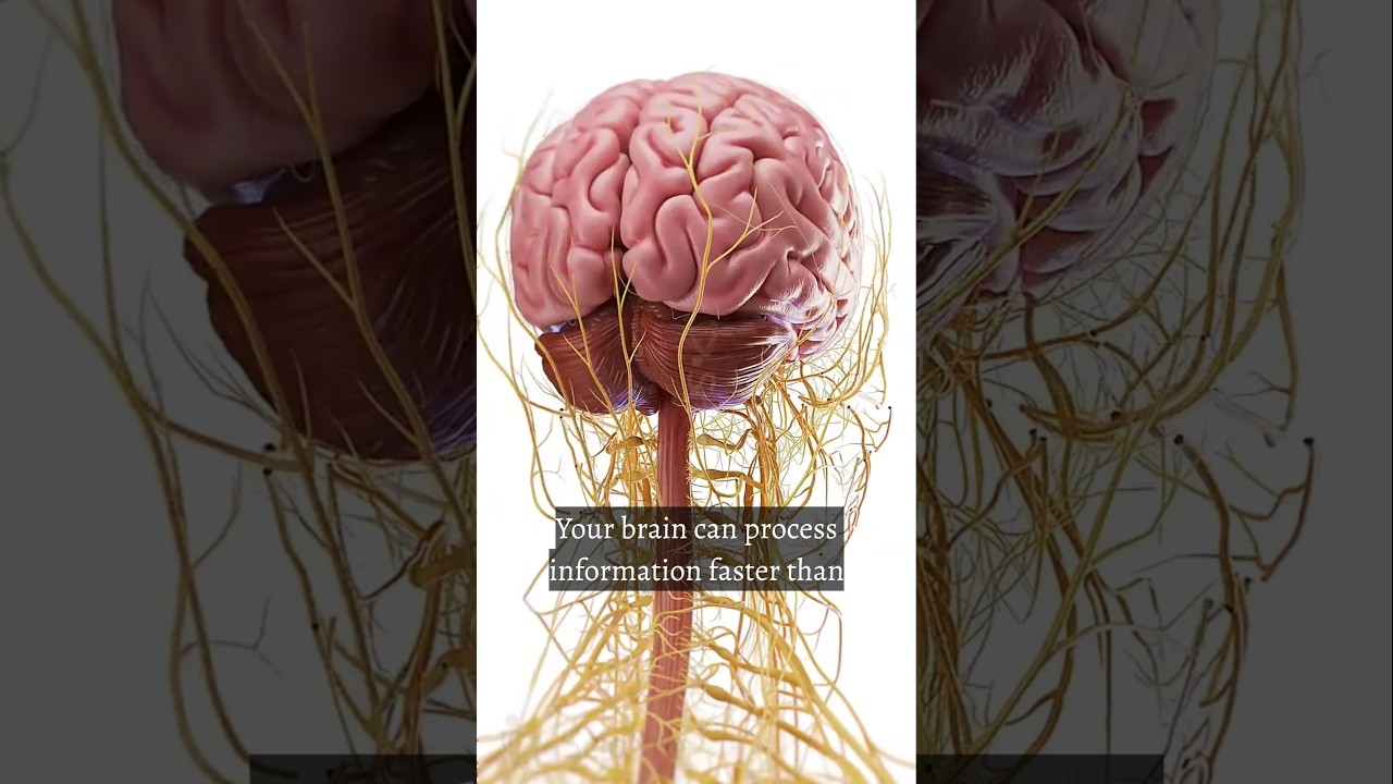 your brain can process information faster than computer 🧠🖥️🤯🤯
