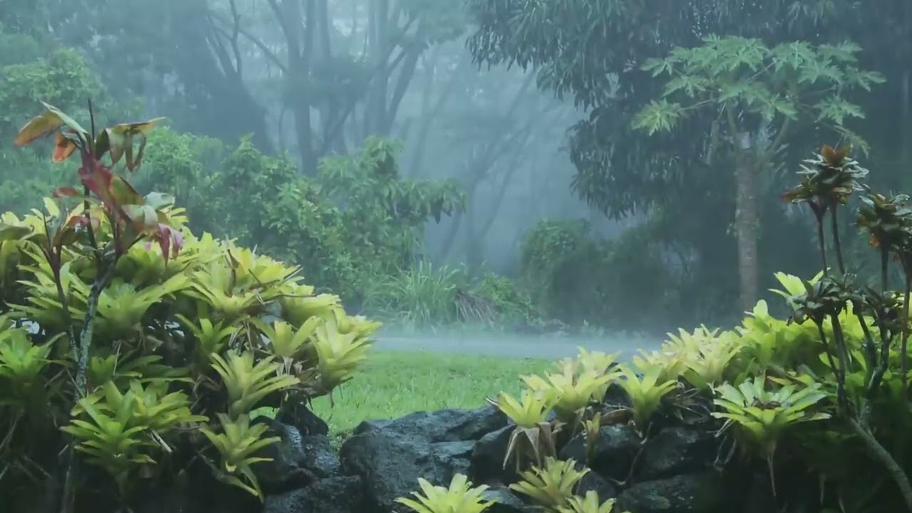 Récitation Coran Apaisante Pour Dormir, se Détendre avec Bruit de Pluie et Orage