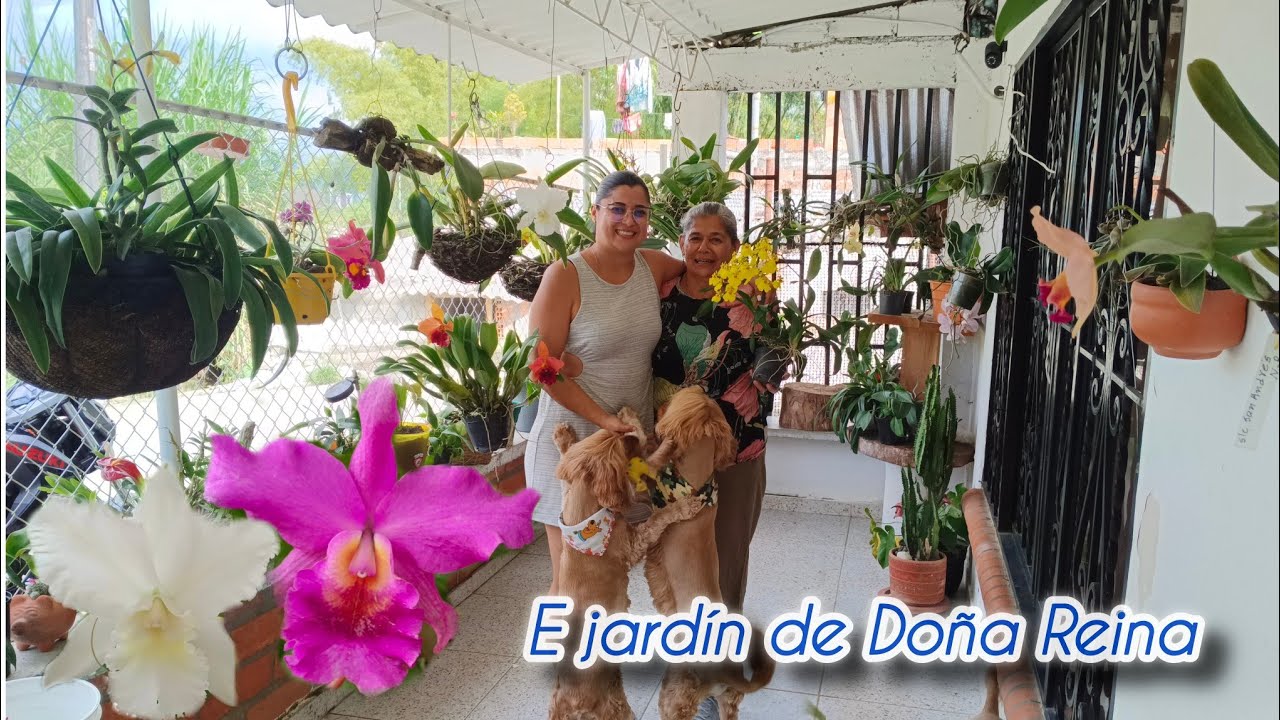 UN HERMOSO JARDÍN Acompañame a este recorrido /Muchas flores/ COLOMBIA.