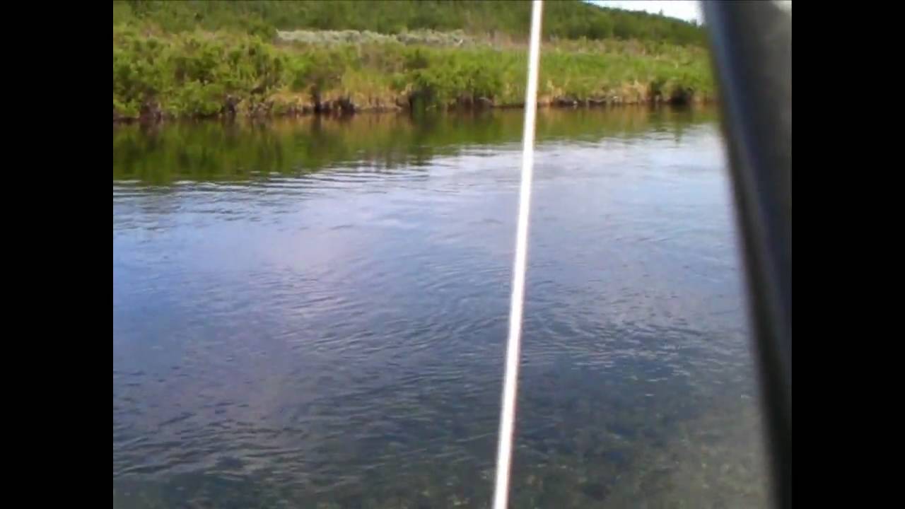Övre Ransarån 2010 del 1.