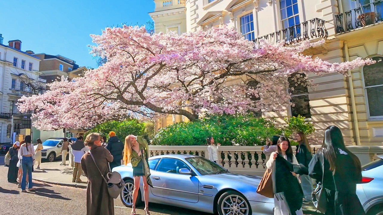 Notting Hill&rsquo;s Magical Cherry Blossom House 🌸 Luxurious London Spring Walk 2026 | 4K HDR ASMR