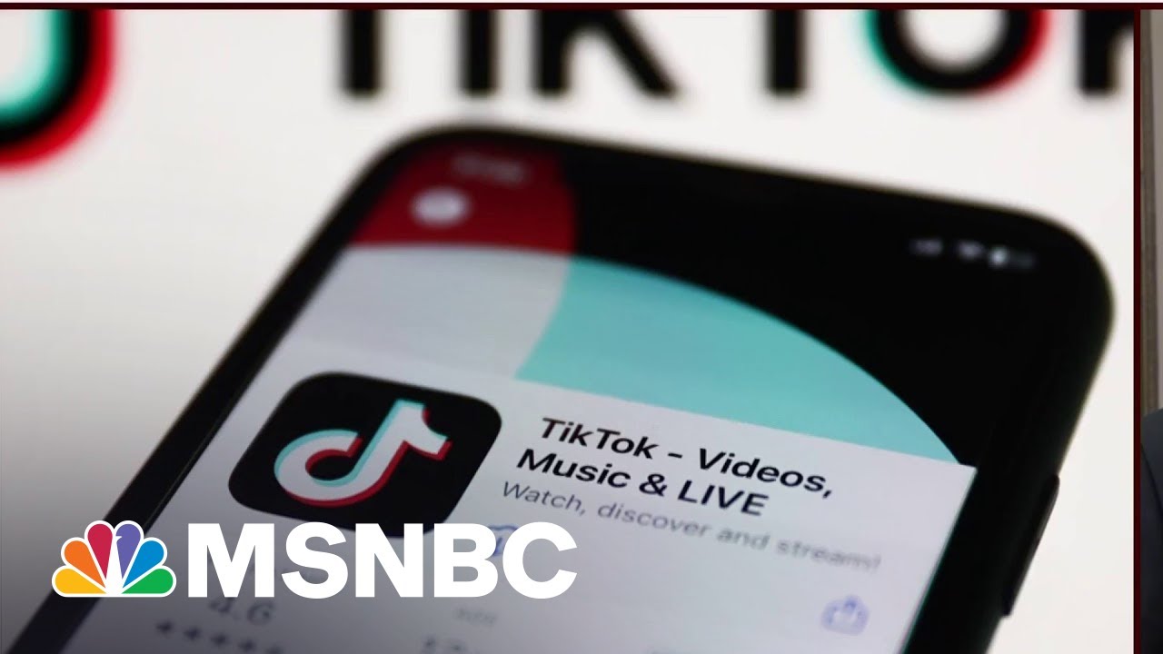 Bipartisan opposition to banning TikTok emerges on Capitol Hill