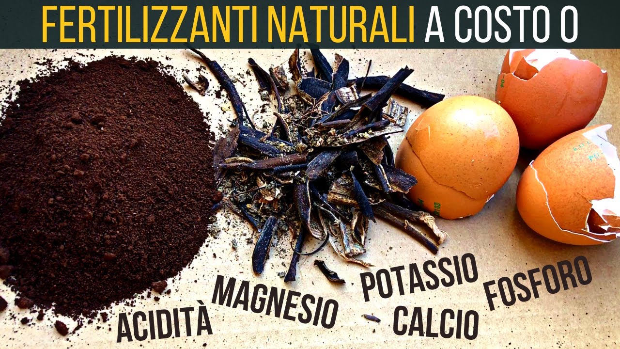 Super fertilizzanti naturali ☕️ dagli scarti della cucina a costo 0 | Food Stories
