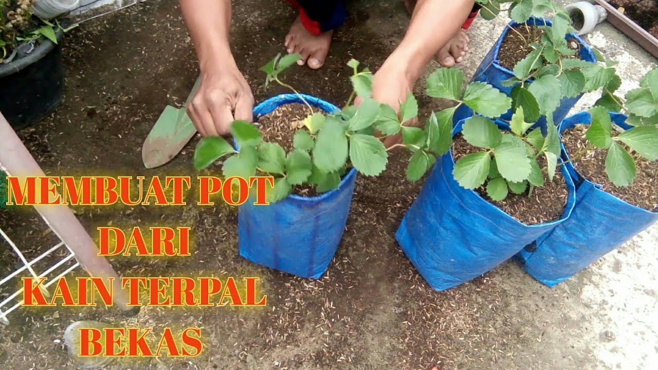 TUTORIAL KOMPLIT membuat pot pakai terpal bekas