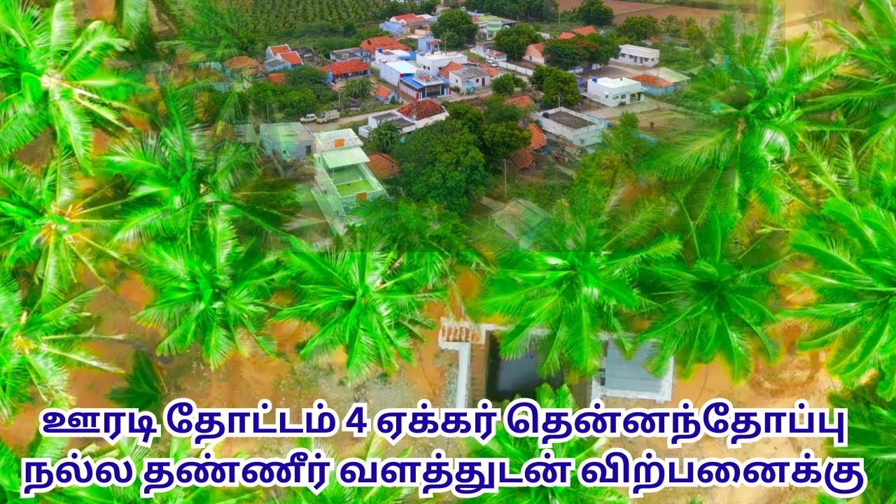 🏡ஊரடி தோட்டம் 🌴4 ஏக்கர் தென்னந்தோப்பு 🌿நல்ல தண்ணீர் வளத்துடன் விற்பனைக்கு