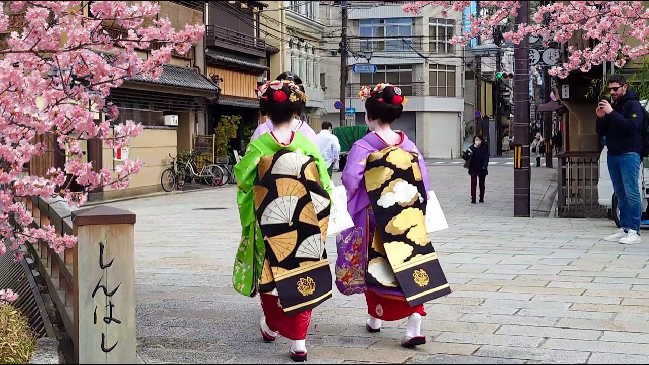 Geisha Walk in Gion Shirakawa of Kyoto | Sakura | 春の京都、祇園白川・巽橋の桜と外国人観光客と舞妓さん、海外の反応