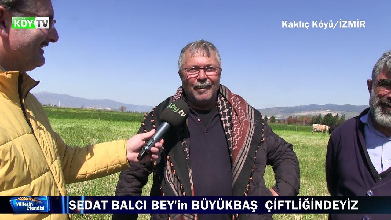 SEDAT BALCI BÜYÜKBAŞ ÇİFTLİĞİ / KAKLIÇ/ÇİĞLİ/İZMİR - KÖY TV