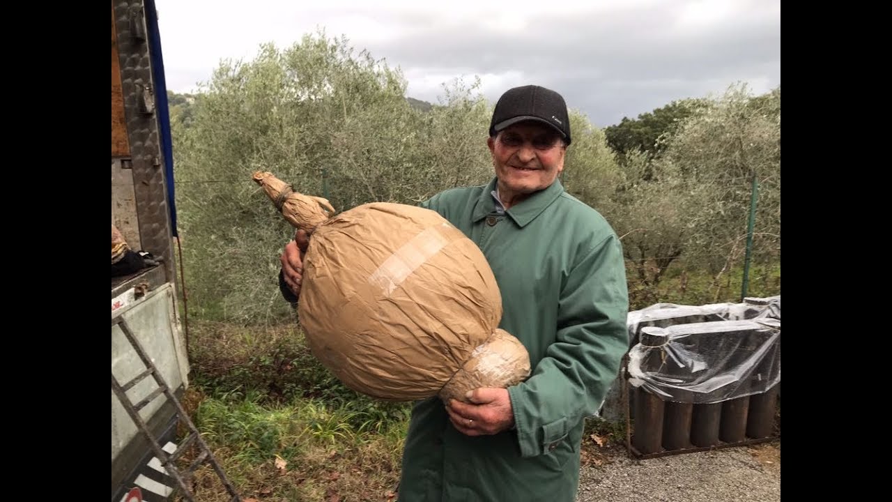 VITULAZIO 15 aprile 2018 Pirotecnica Vincenzo Senatore e figli da Cava dei Tirreni (Sa) by GECIMALI