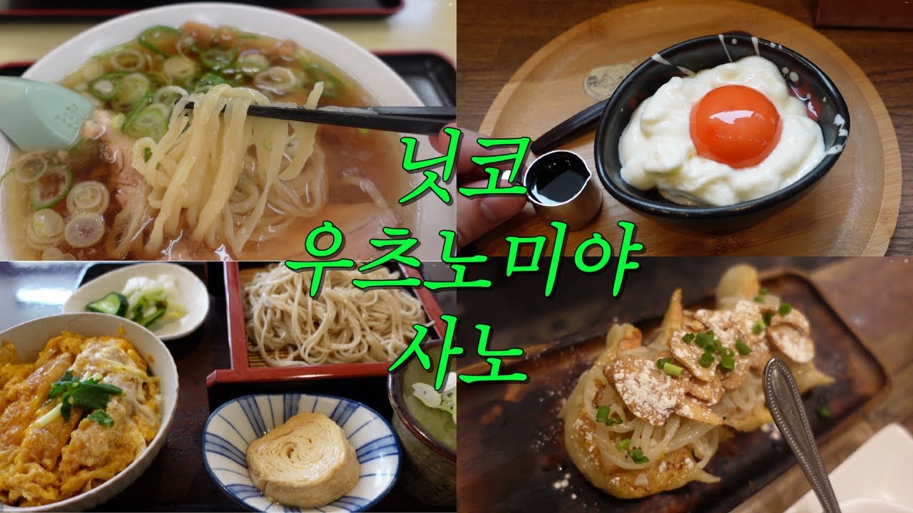 맛있는거 잔뜩 먹는 닛코 우츠노미야 사노 여행 🥟🍜 | グルメ旅 日光 宇都宮 佐野 旅行 | 한일부부 Vlog