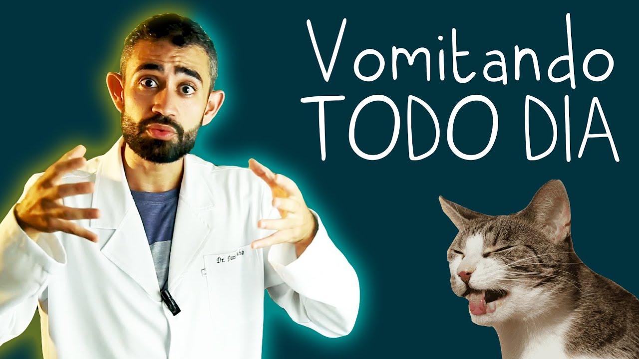 Vômitos recorrentes em CÃES e GATOS - O que pode ser? | Dica Veterinária #24