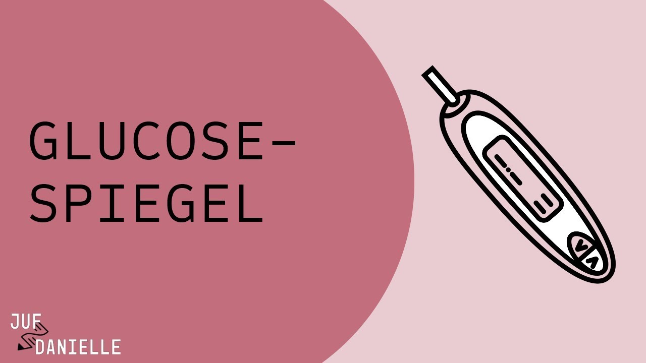 Glucosespiegel - Insuline, glucagon, somatostatine