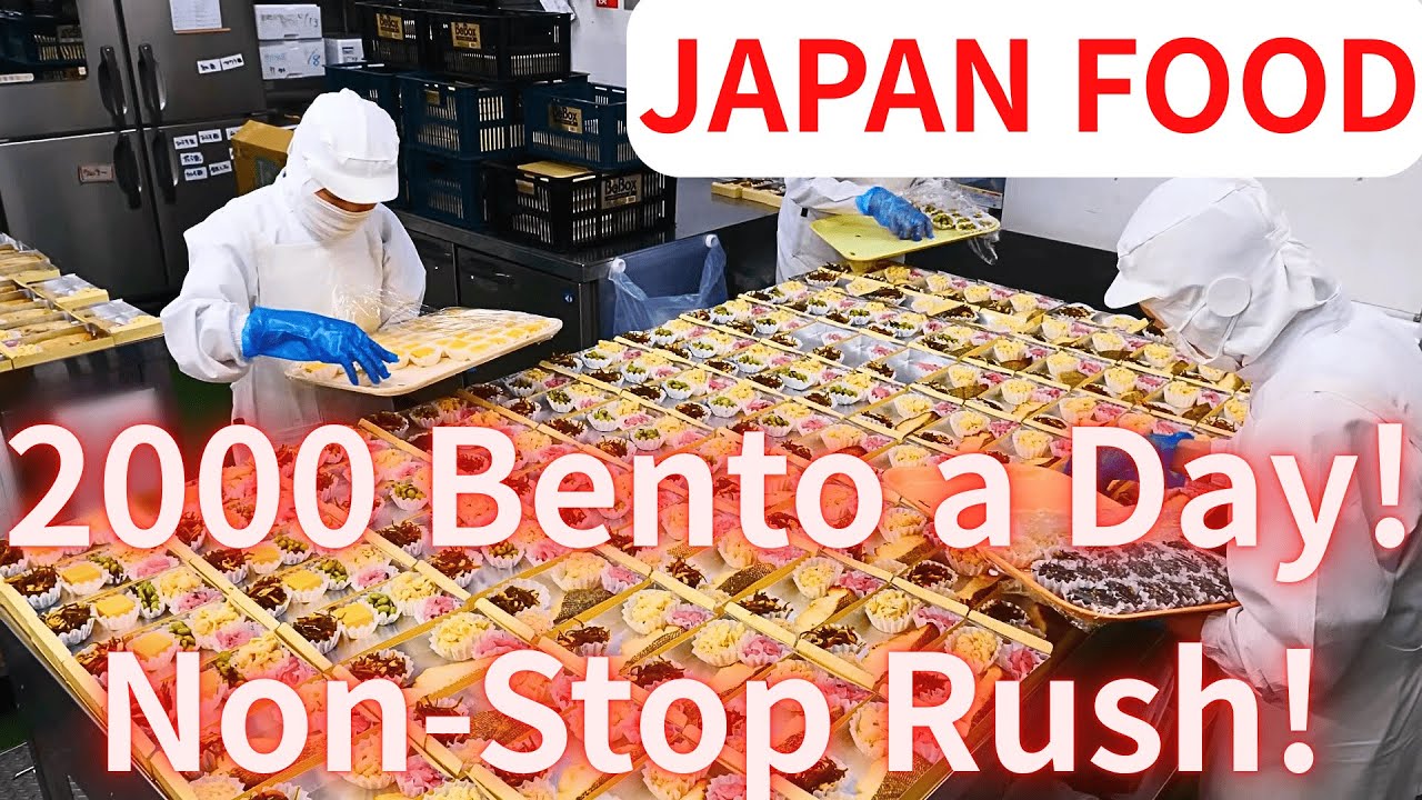 🍱 