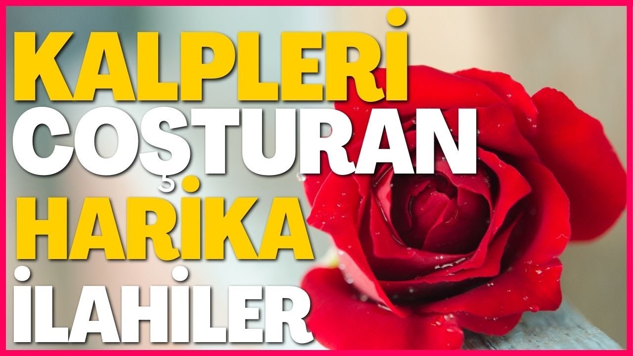 🌹🕋🤲🏽 Kalpleri Coşturan Harika İlahiler 🌹🕋🤲🏽