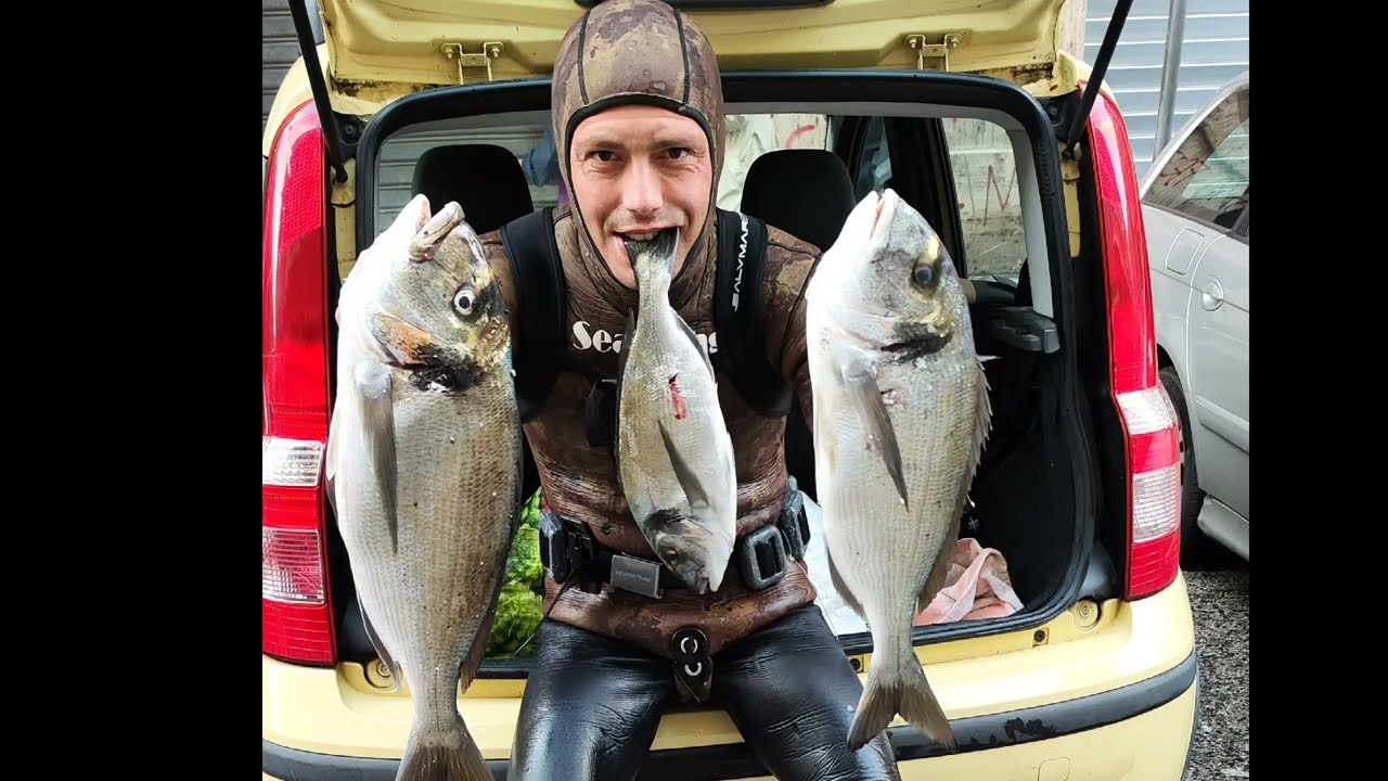 pesca sub in una bellissima giornata uggiosa di maggio, 2023 orate orate orate