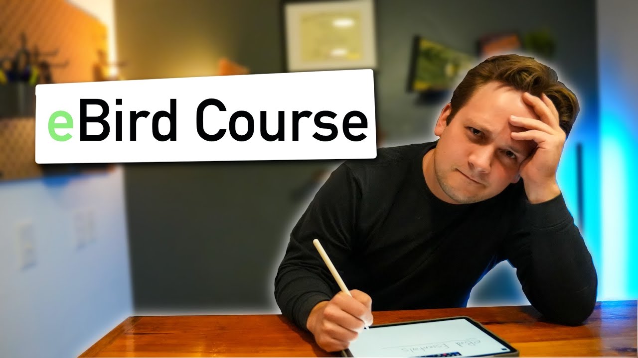 I Took the eBird Essentials Course So You Don't Have To