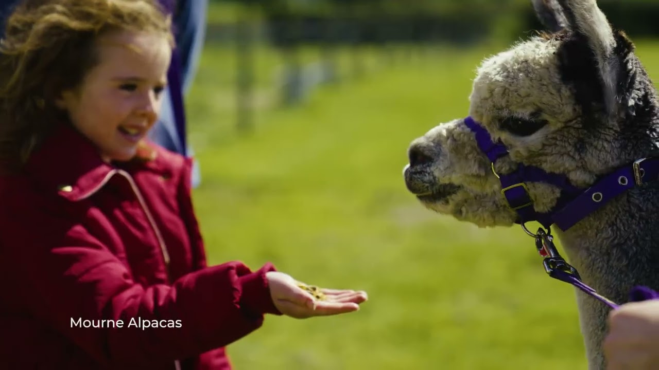 Explore Armagh this Summer