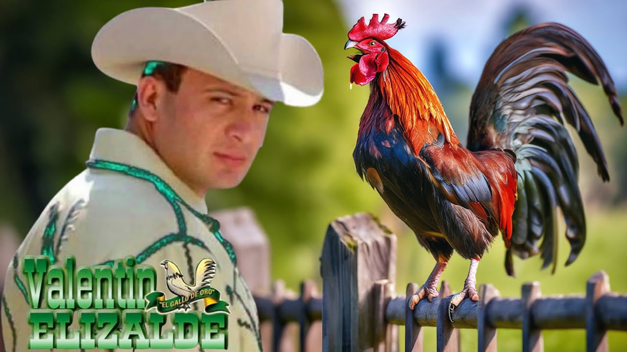 👉 Valentin Elizalde 🎺 Las Mejores Rancheras | Album Completo Con Banda Mexicana