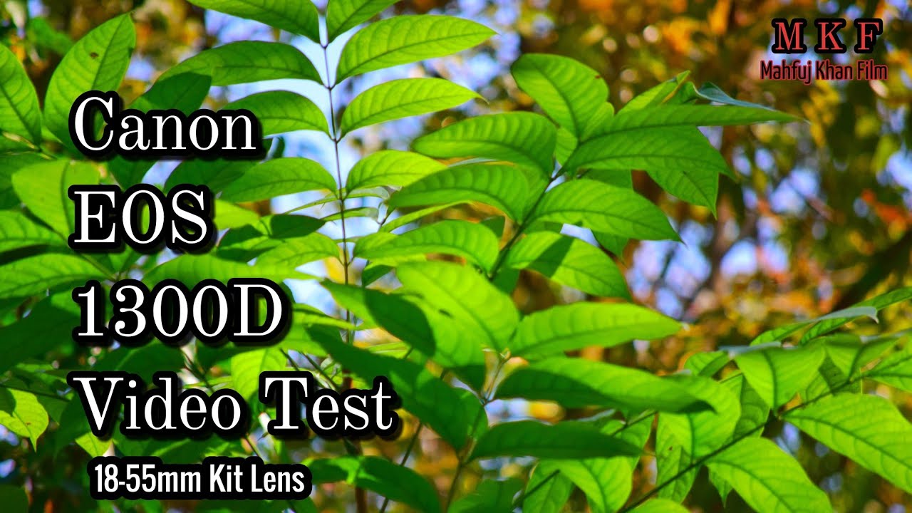 Canon EOS 1300D Review & Video test/ Video quality