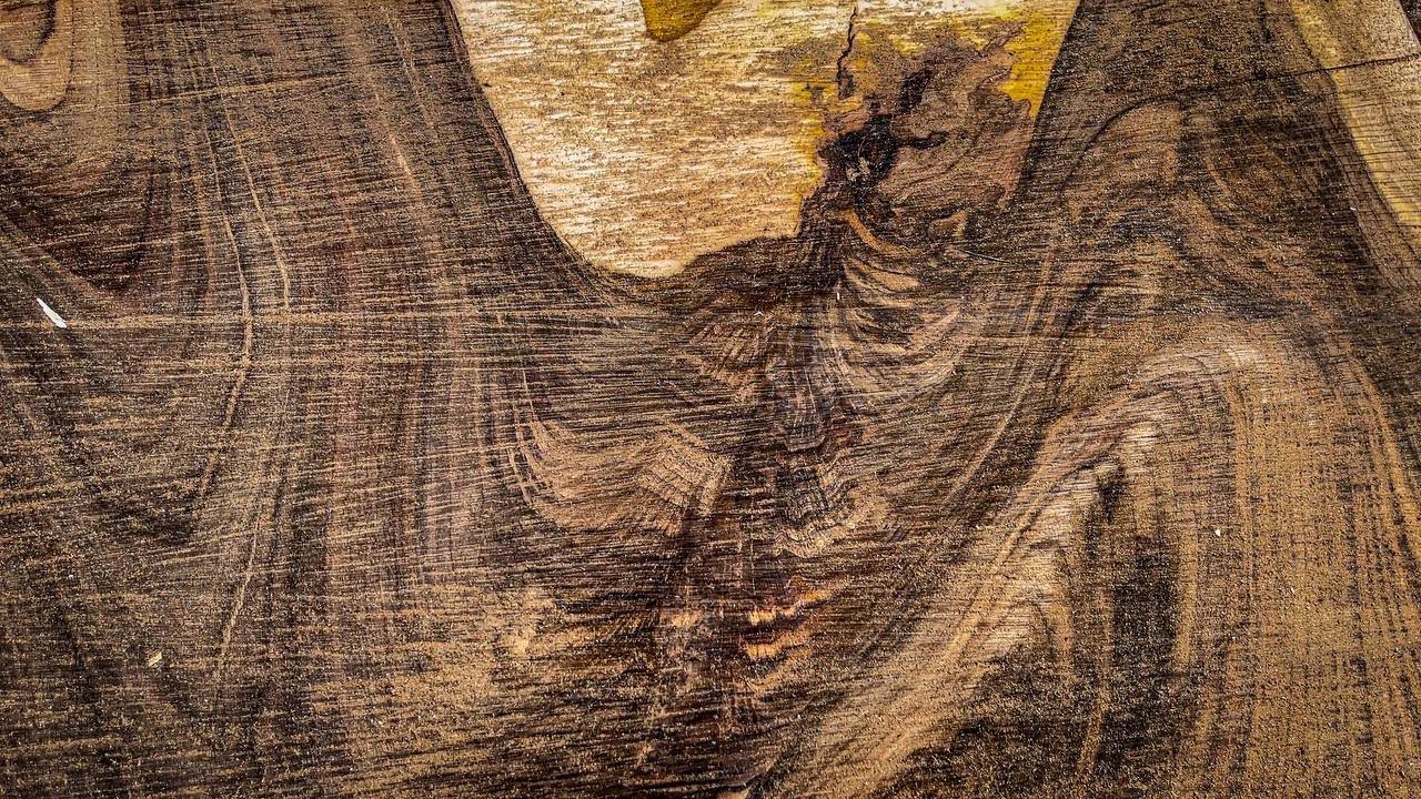 Bat on a walnut slab