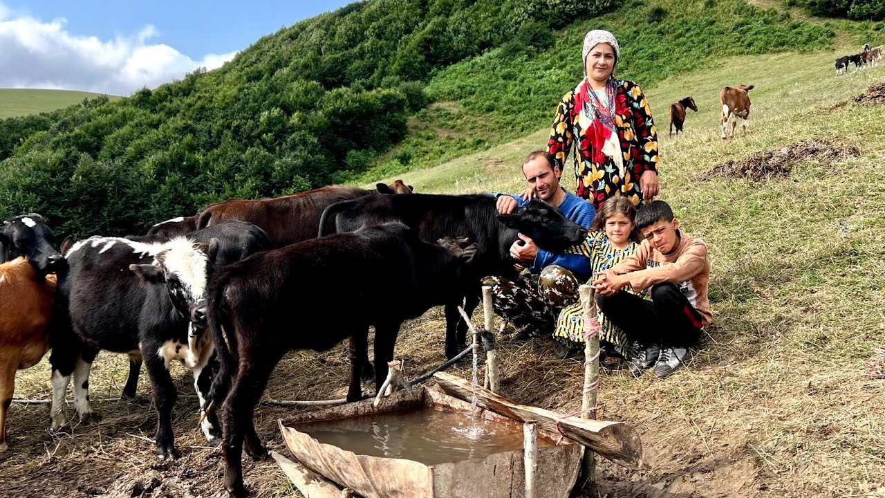 Перевозка родниковой воды через лес и создание пруда из бочки