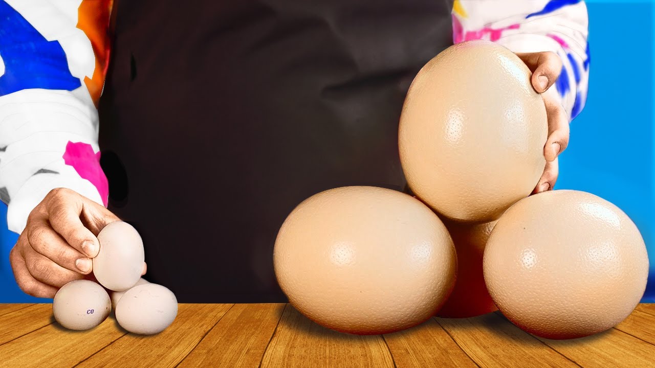 ŒUFS D'AUTRUCHE VS ŒUFS DE POULE - QUI A LE MEILLEUR GOÛT par VANZAI