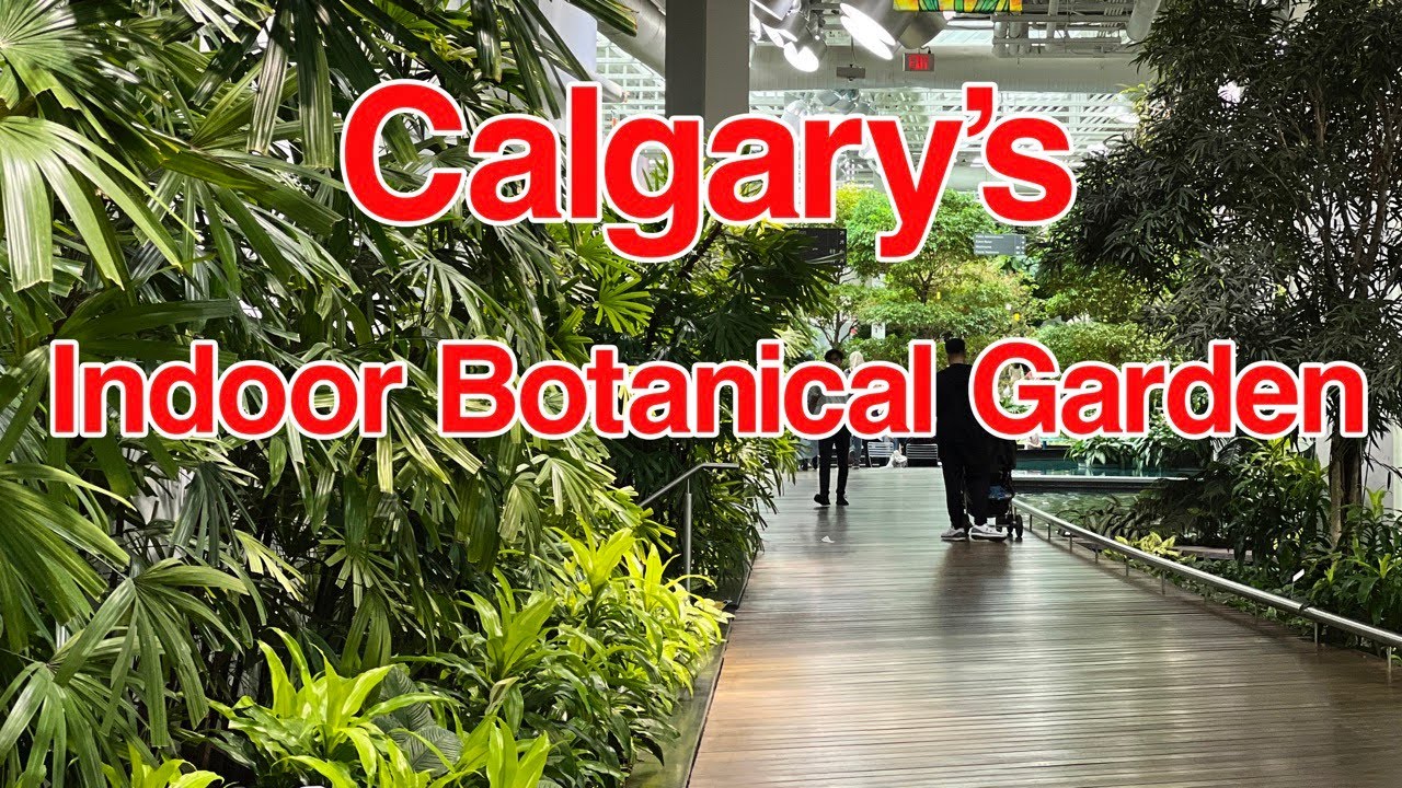 The Devonian Gardens | Calgary's Indoor Tropical Botanical Garden | City of Calgary Parks | 4K