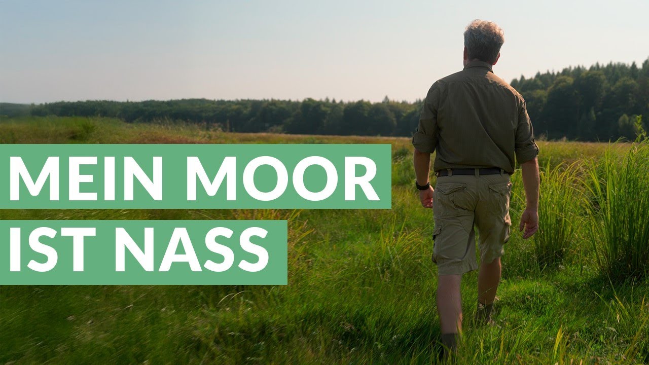 Mein Moor ist nass – Daniel Fuchs – Flächeneigentümer
