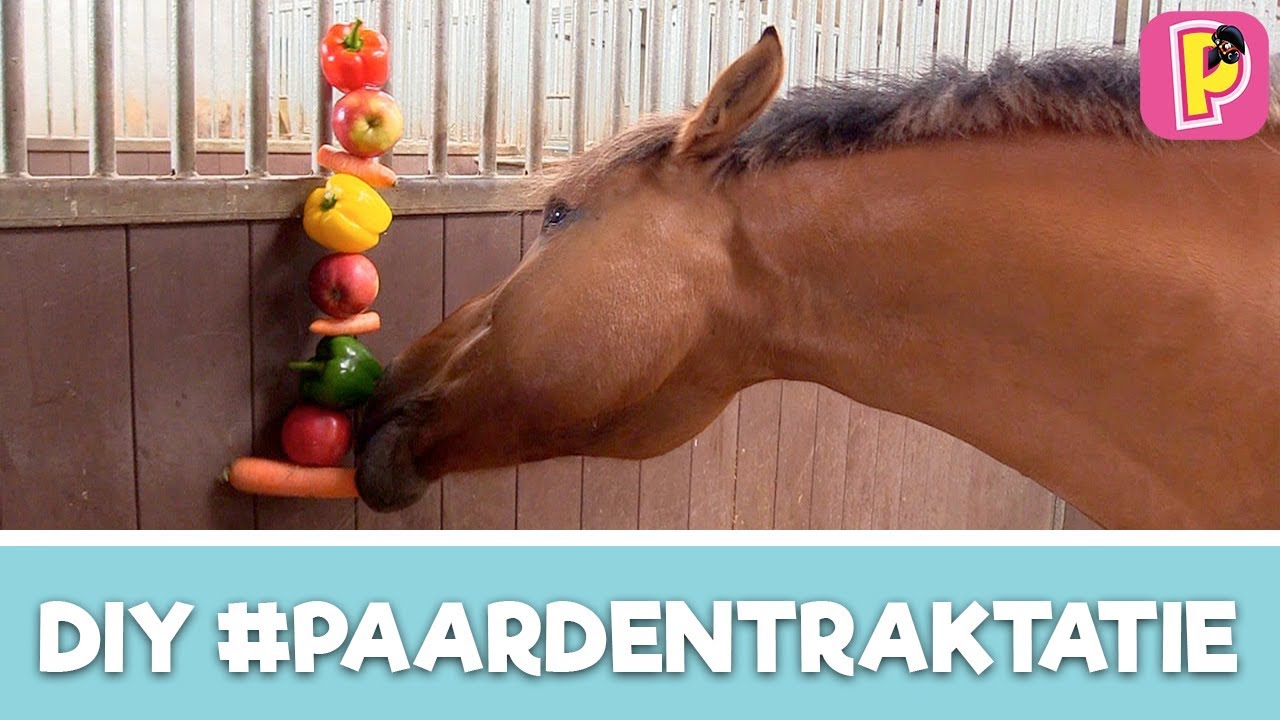Paardentraktaties maken met Felinehoi | DIY | Penny TV