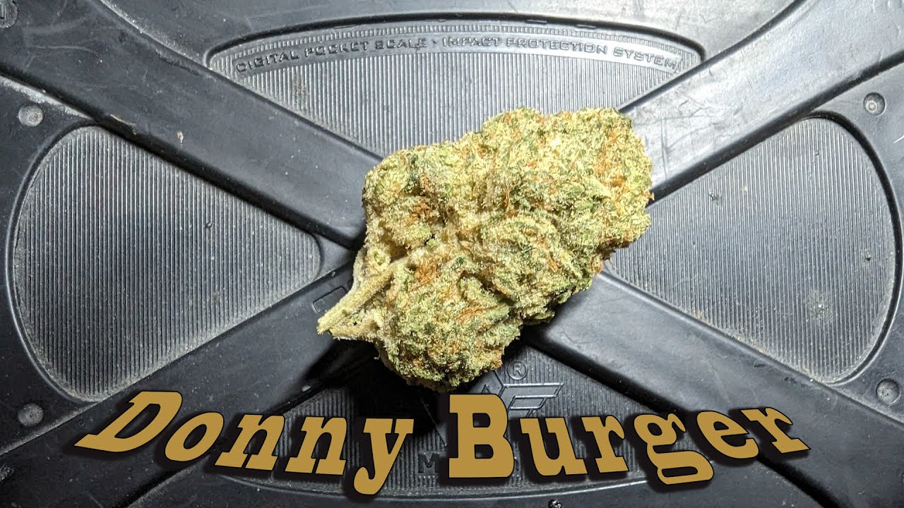 The Donny Burger - Strain Review