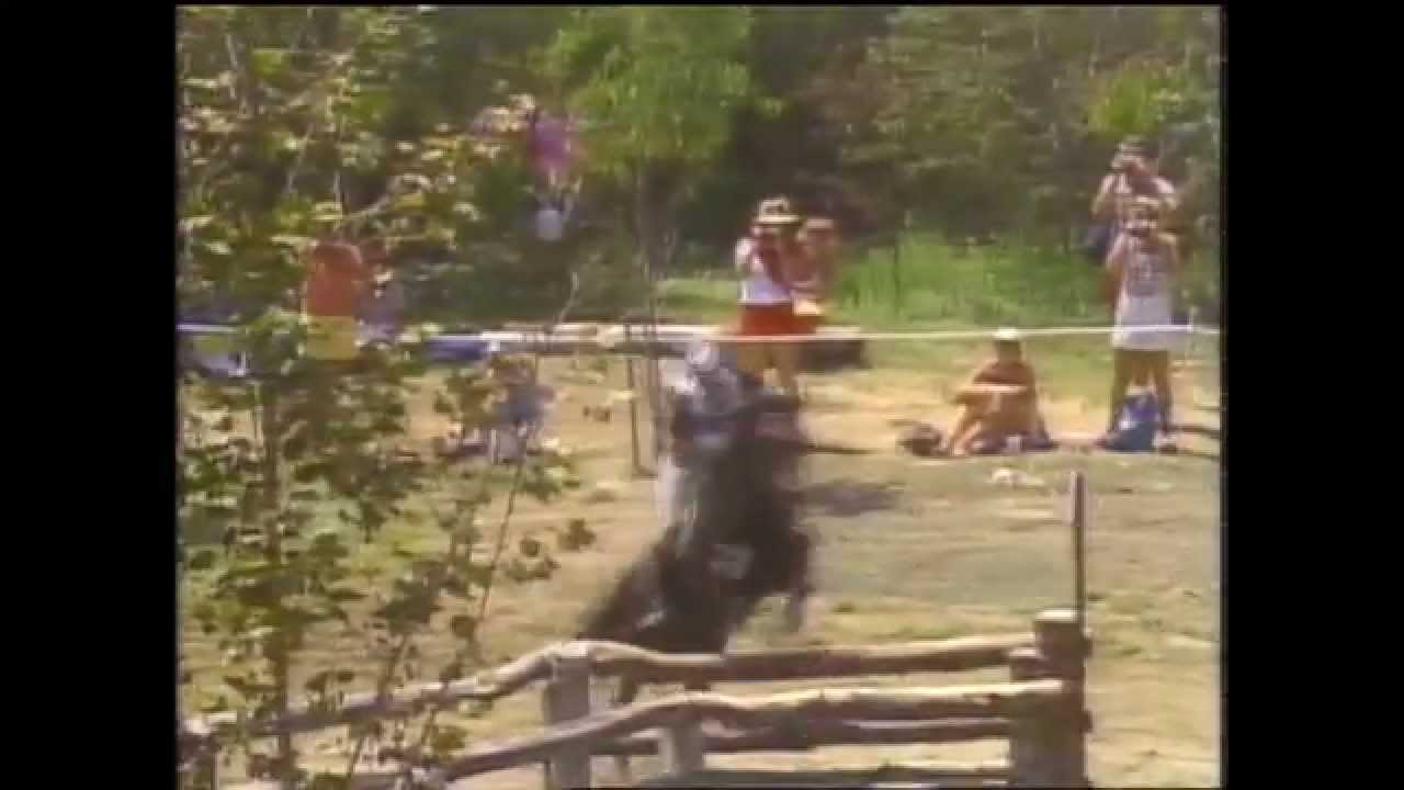 Mark Todd riding Charisma wins Individual Mixed Eventing Gold, Los Angeles 1984