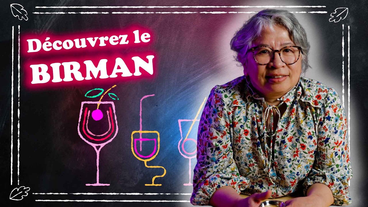 D&eacute;couvrez le birman !