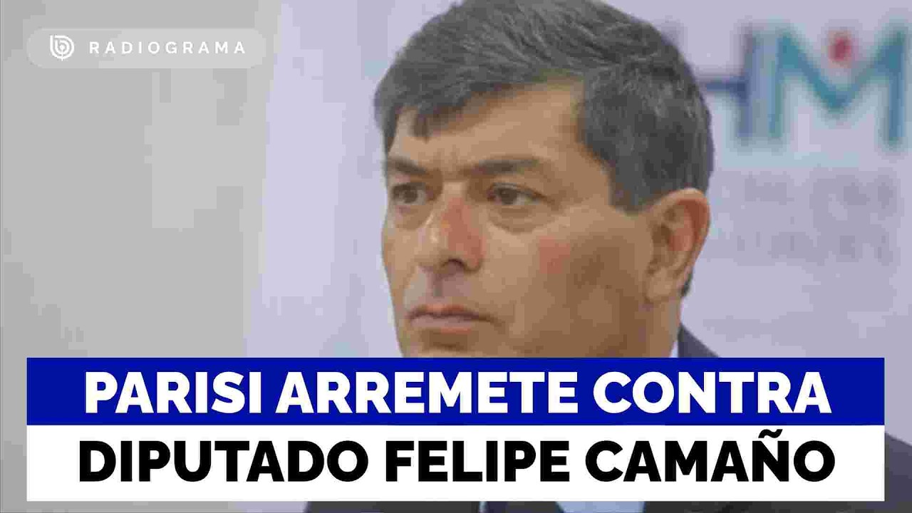 “Con decisión de Camaño estábamos perdidos”: Parisi arremete contra diputado tras perder la Cámara