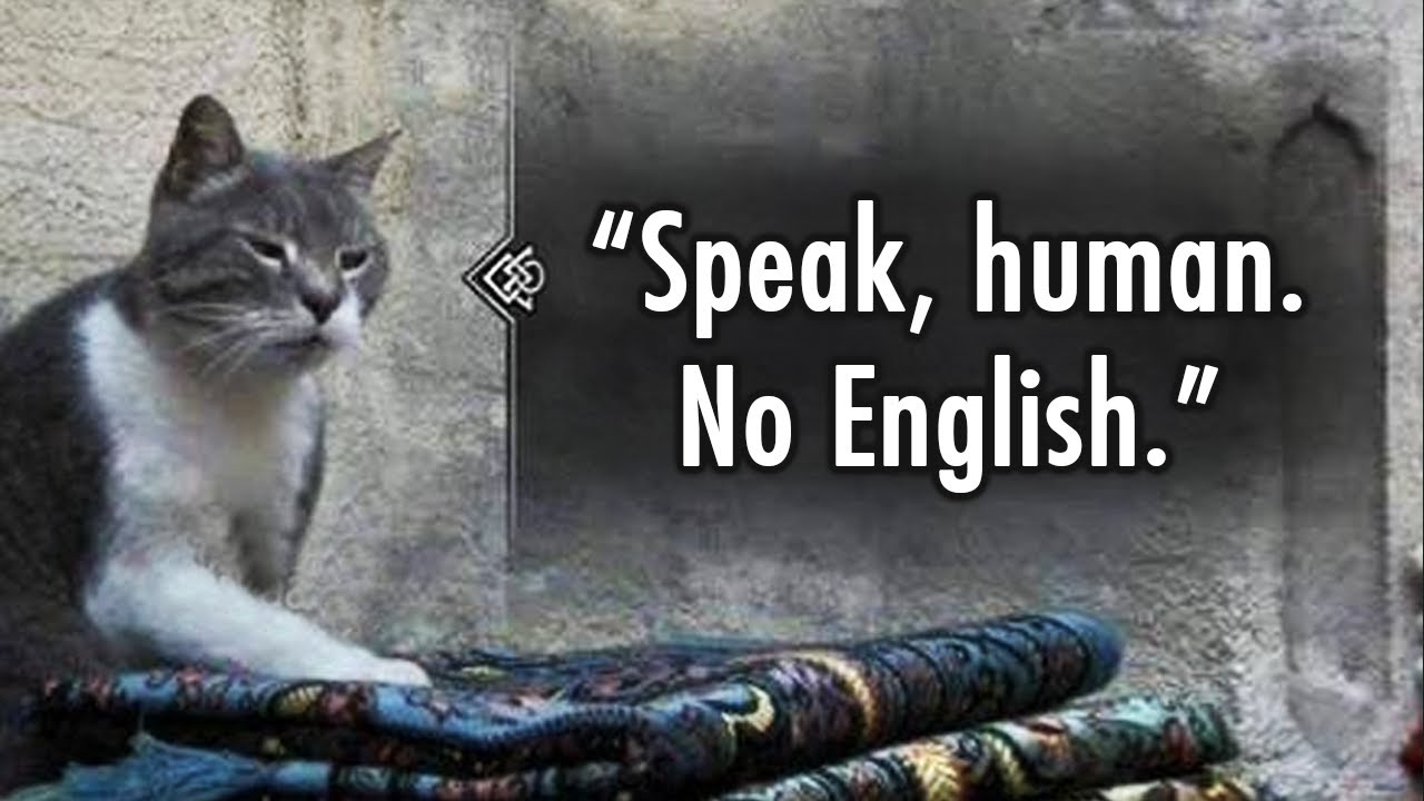 Learn Khajiit English If You Dare