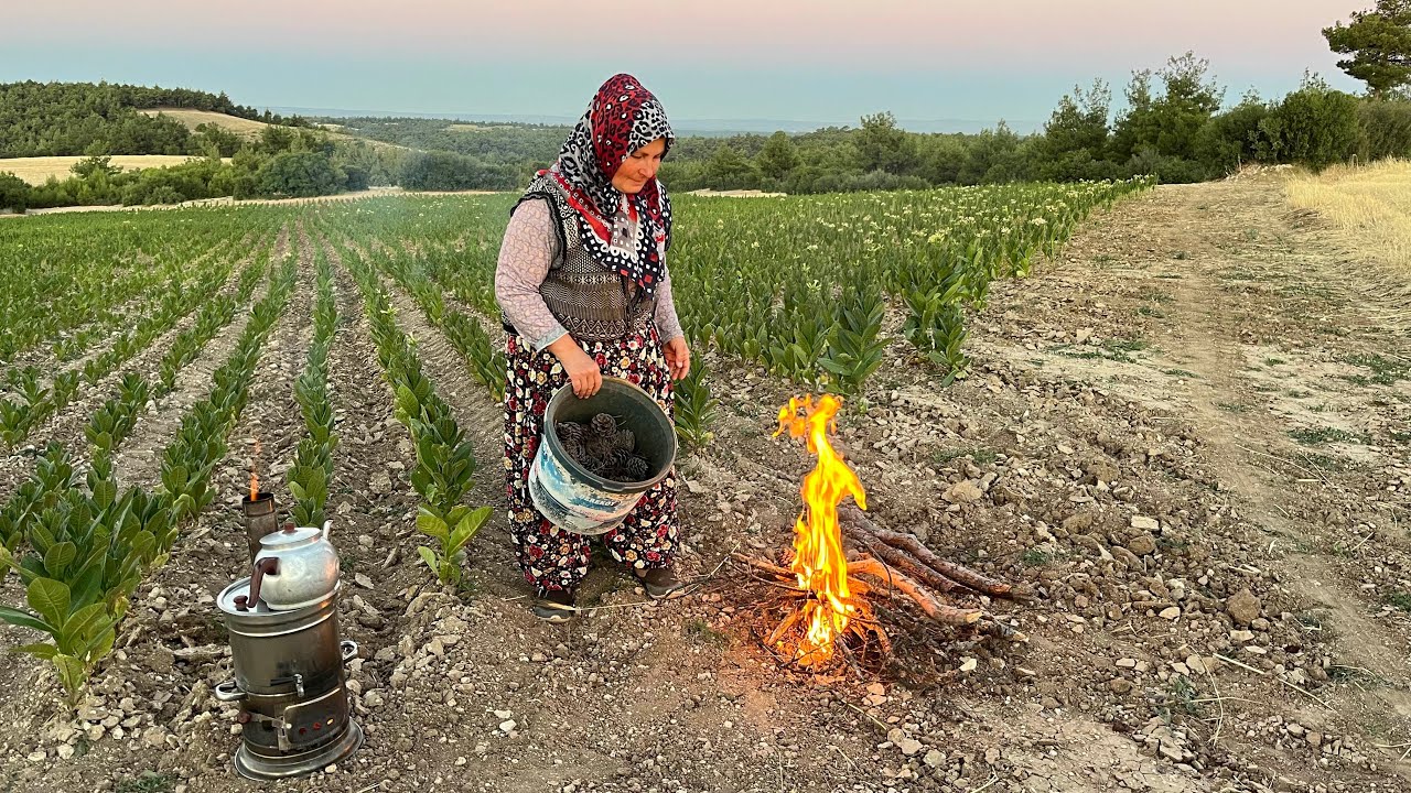 Tütün Tarlasında sabah kahvaltısı~odun ateşinde semaver çayı~anadoluda yaşam