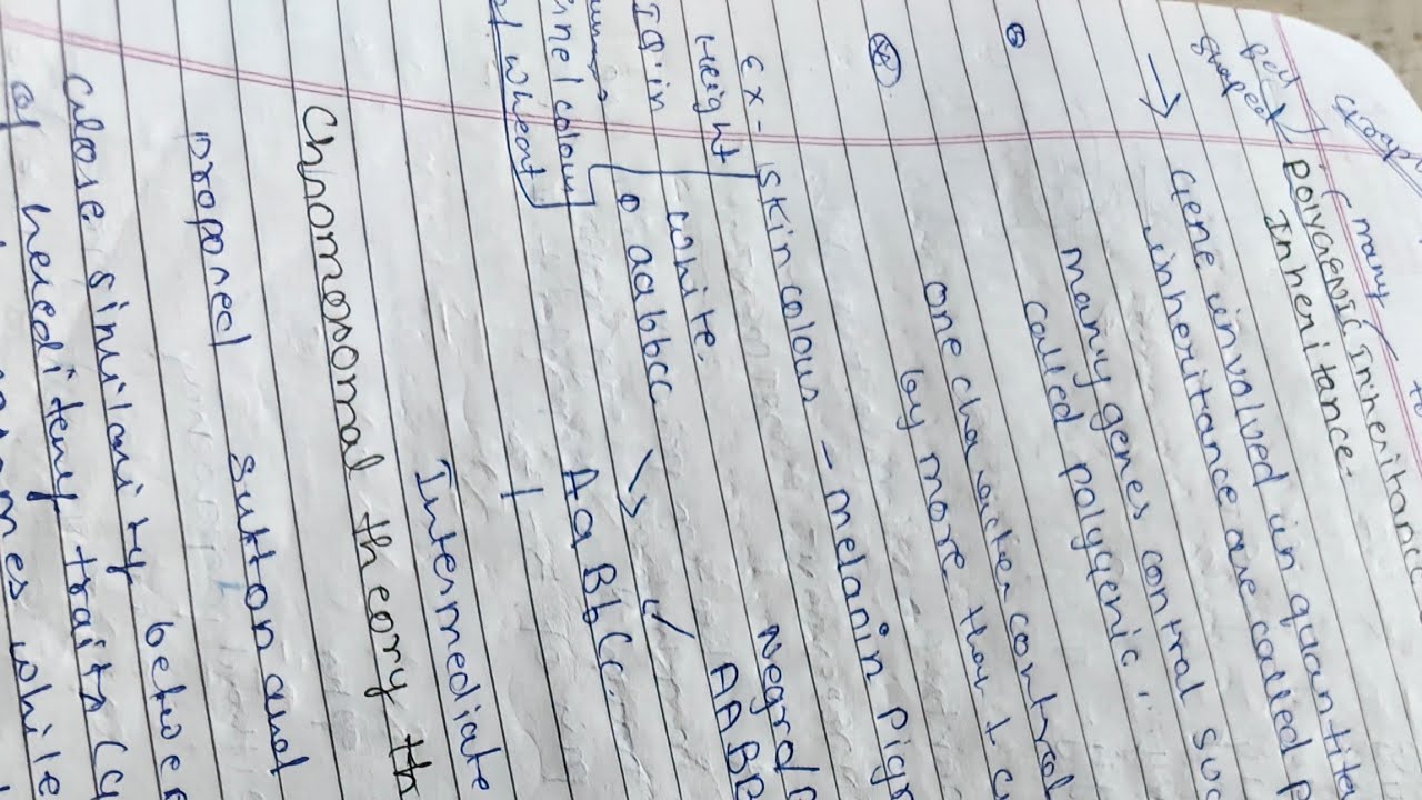 LAST CHANCE TO SAVE MARKS IN PHYSICAL EDUCATION IN 2 DAYS🔥😱 ||BOARDS PREPARATION OF CLASS 12TH